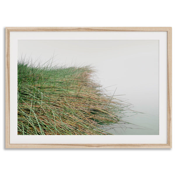 Minimalist nature artwork of coastal grasses leaning towards calm water on a misty day