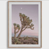 Joshua Tree Pink Sky Sunset with Moon Print - Extra Large Desert Sunset Photography Wall Art, California National Park Poster for Wall Decor