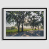 Sonoma Valley Vineyards Fine Art Photography Print - California Wine Country Road Landscape Framed Wall Art for Home or Office Decor