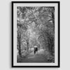 Romantic Japan nature art photograph in black and white forest setting, couples wall decor