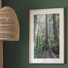 Redwood Forests Wall Art Set of 3 prints -  Fine Art Nature Photography Redwood Trees Gallery Set,  Oversized Framed Green Wall Decor