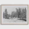 Snowy Forest Fine Art Print - Winter Forest Wall Decor, Winter Wall Art Framed or Unframed Black and White Fine Art Nature Photography Print