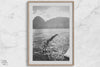 Fine art dive print in monochrome tones, elegant wall decor inspired by Hawaii.