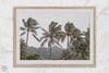 Tropical beach palm tree art with lush green palms against a misty hillside in coastal landscape