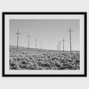 Desert Power Fine Art Photography Print - Black and White Western Wall Art. Large Framed or Unframed Americana Decor for Home or Office