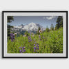 Mt Rainier Fine Art Print - Large Mountain Wall Art Print, Framed Snowy Mountains Print, Washington Nature Poster, Floral Art Wall Decor