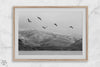 northwest coast pelicans black and white beach photography print.