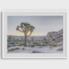 Joshua Tree Fine Art Desert Print - Joshua Tree National Park Poster, Framed California Desert Sunset Wall Art for Home Decor