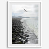 Serene sea gull wall art from Pacifica, coastal photography print for modern interiors