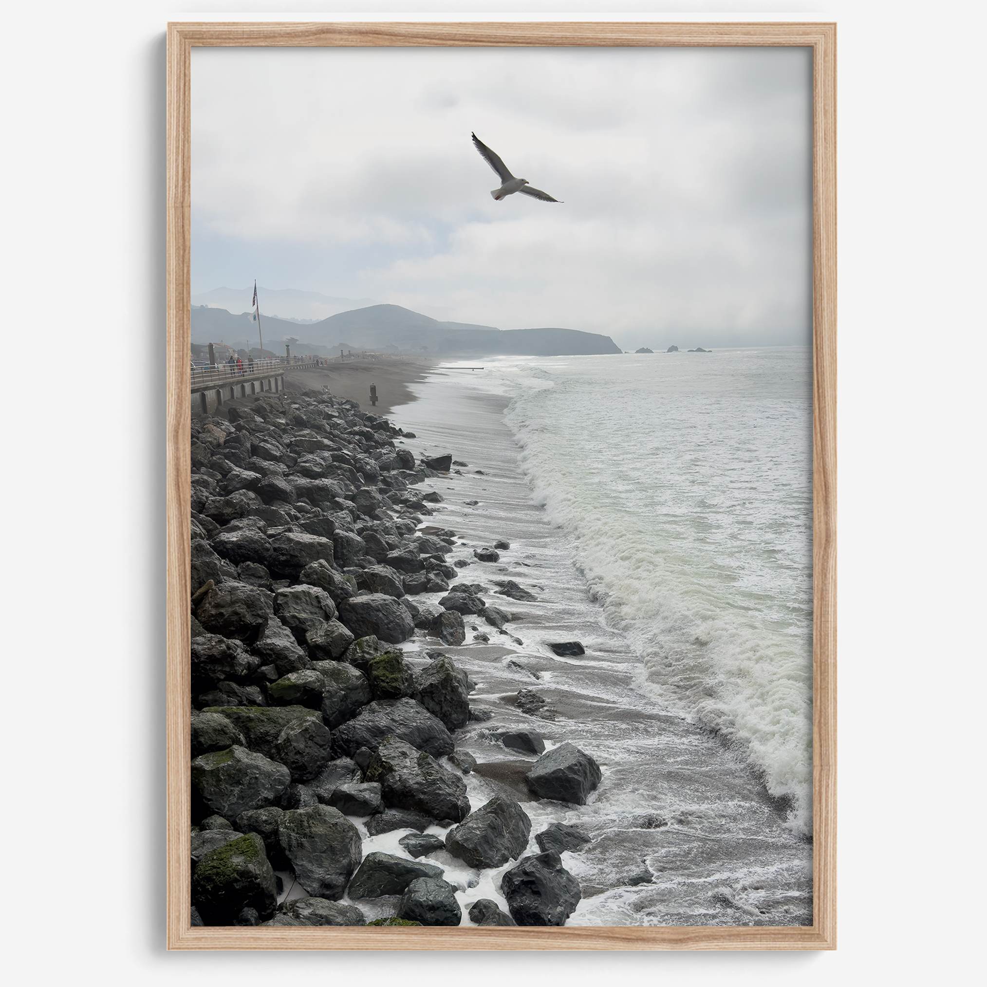 Serene sea gull wall art from Pacifica, coastal photography print for modern interiors