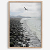 Serene sea gull wall art from Pacifica, coastal photography print for modern interiors