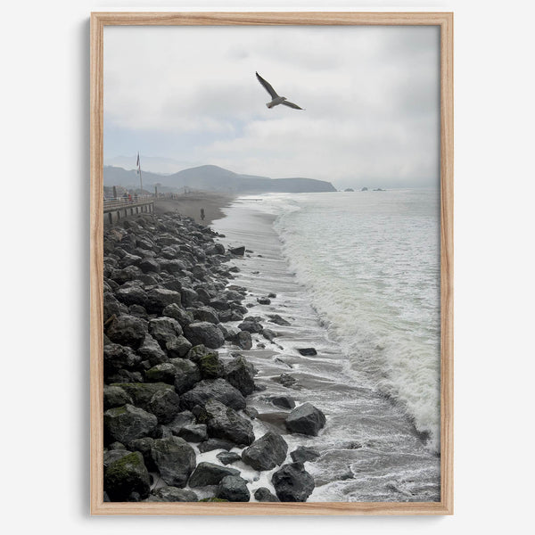 Serene sea gull wall art from Pacifica, coastal photography print for modern interiors