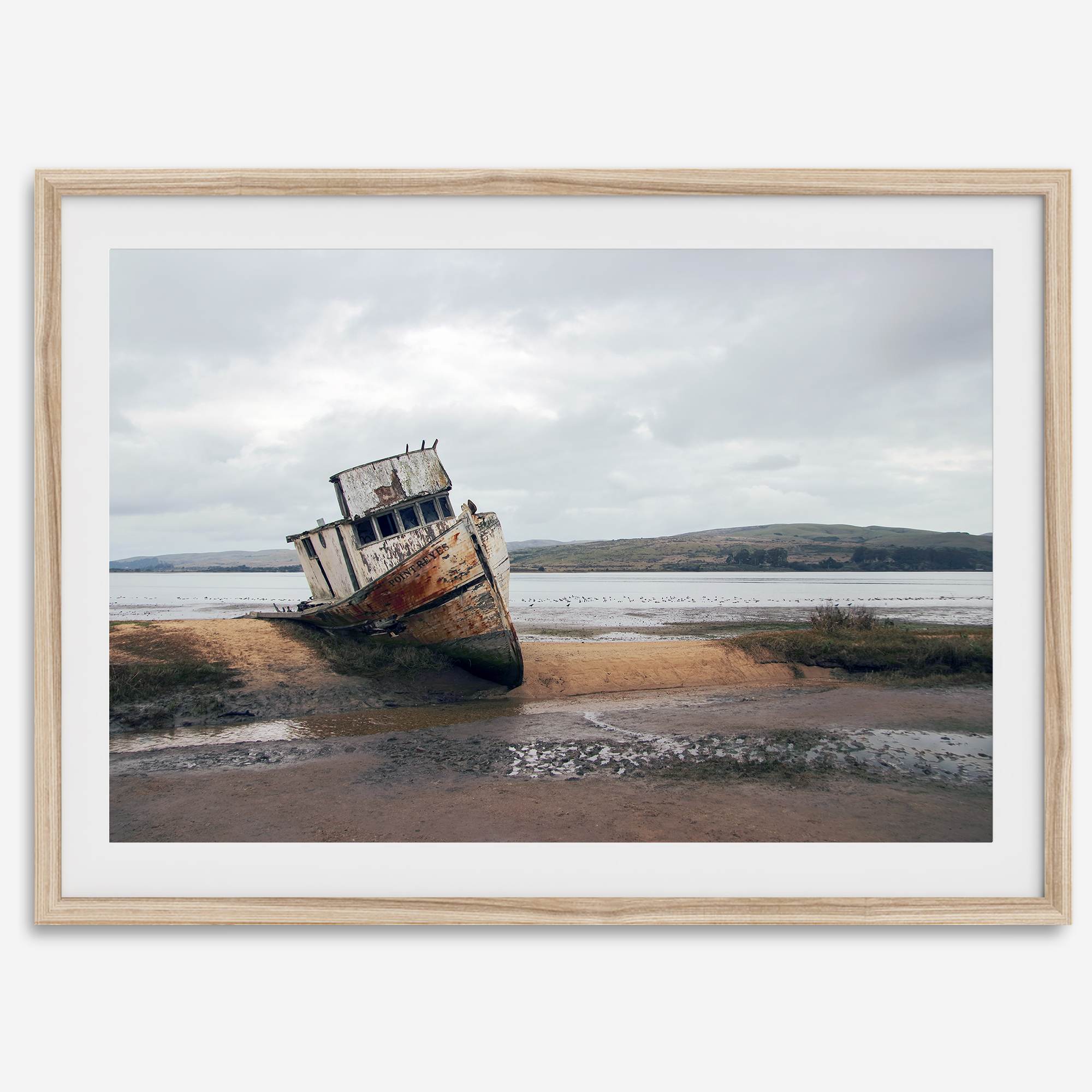 Weathered shipwreck resting on a quiet coastal shore, surrounded by marshland and a moody, overcast sky.