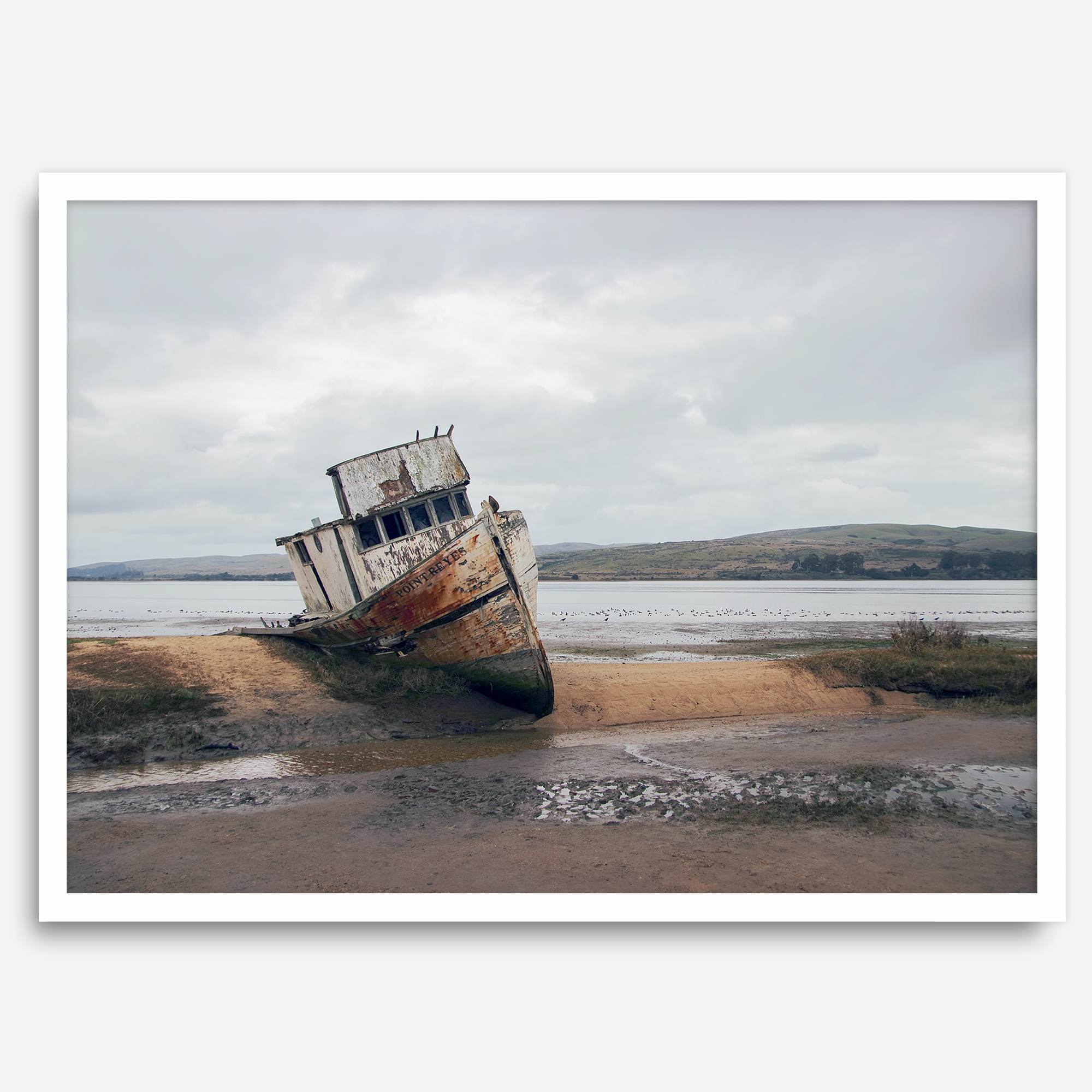Weathered shipwreck resting on a quiet coastal shore, surrounded by marshland and a moody, overcast sky.