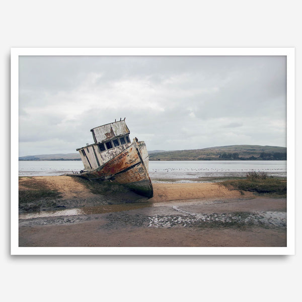 Weathered shipwreck resting on a quiet coastal shore, surrounded by marshland and a moody, overcast sky.