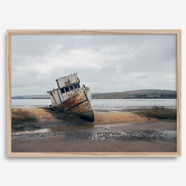 Weathered shipwreck resting on a quiet coastal shore, surrounded by marshland and a moody, overcast sky.