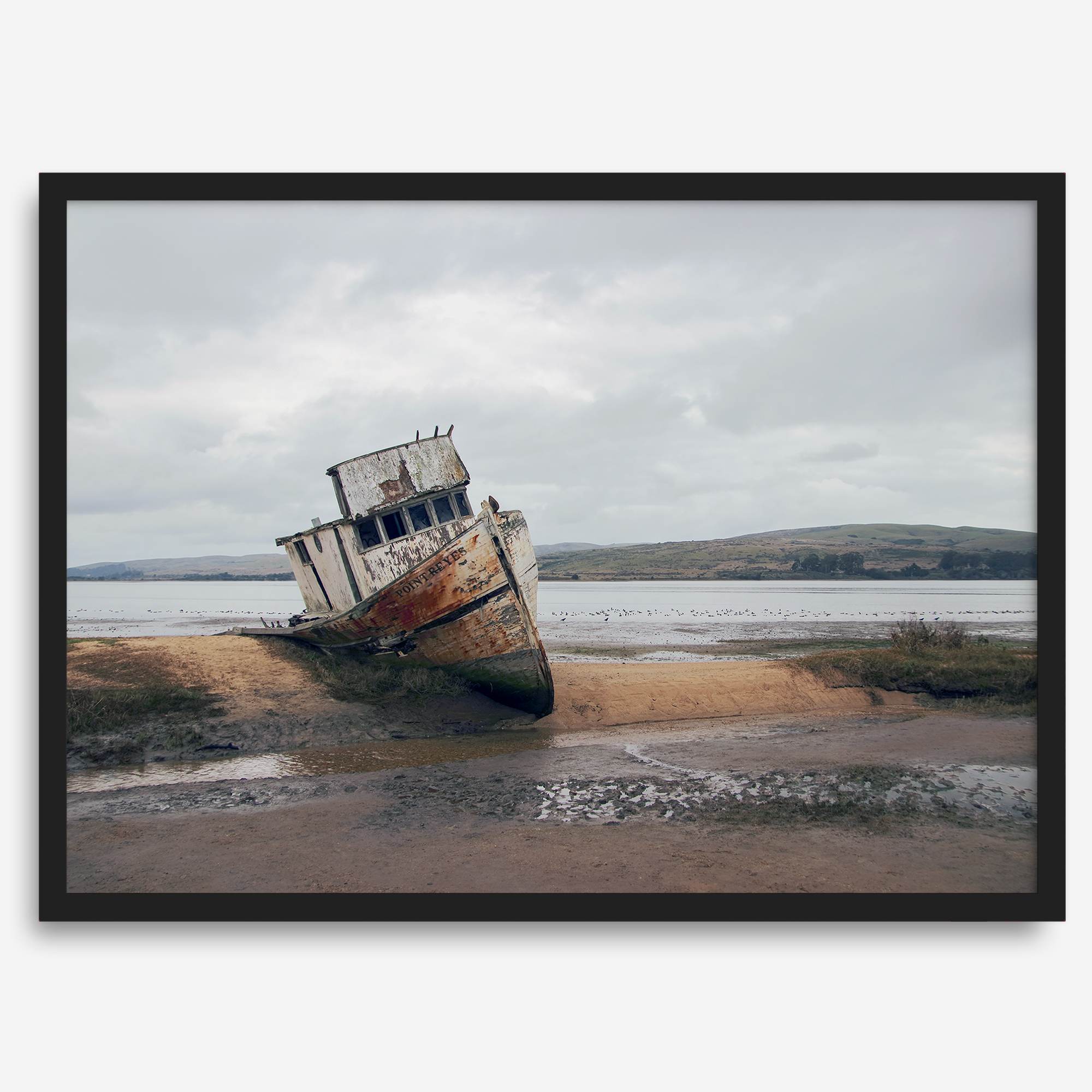 Weathered shipwreck resting on a quiet coastal shore, surrounded by marshland and a moody, overcast sky.