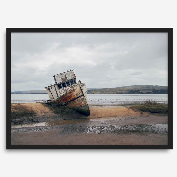 Weathered shipwreck resting on a quiet coastal shore, surrounded by marshland and a moody, overcast sky.