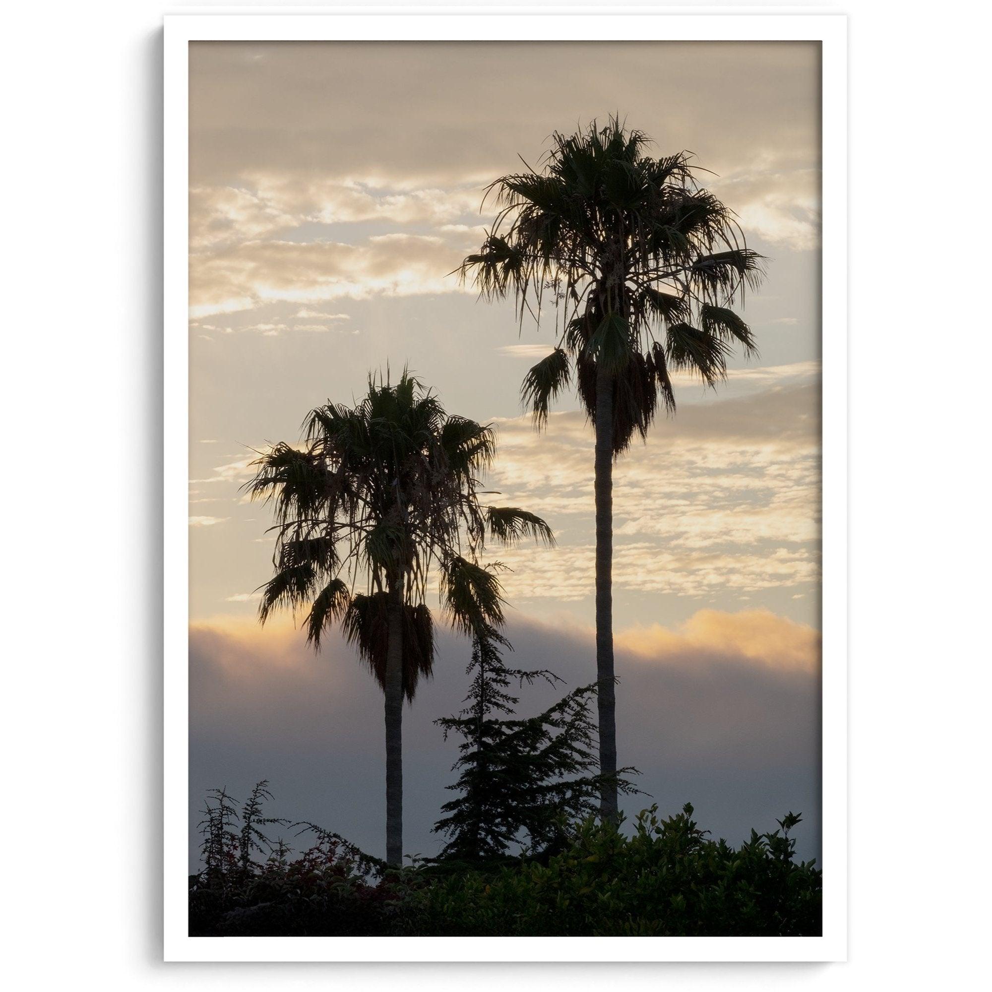 Palm tree wall art featuring two palms silhouetted at sunrise with soft golden light.