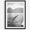 Fine art dive print in monochrome tones, elegant wall decor inspired by Hawaii.