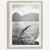 Fine art dive print in monochrome tones, elegant wall decor inspired by Hawaii.