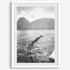 Fine art dive print in monochrome tones, elegant wall decor inspired by Hawaii.
