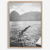 Fine art dive print in monochrome tones, elegant wall decor inspired by Hawaii.