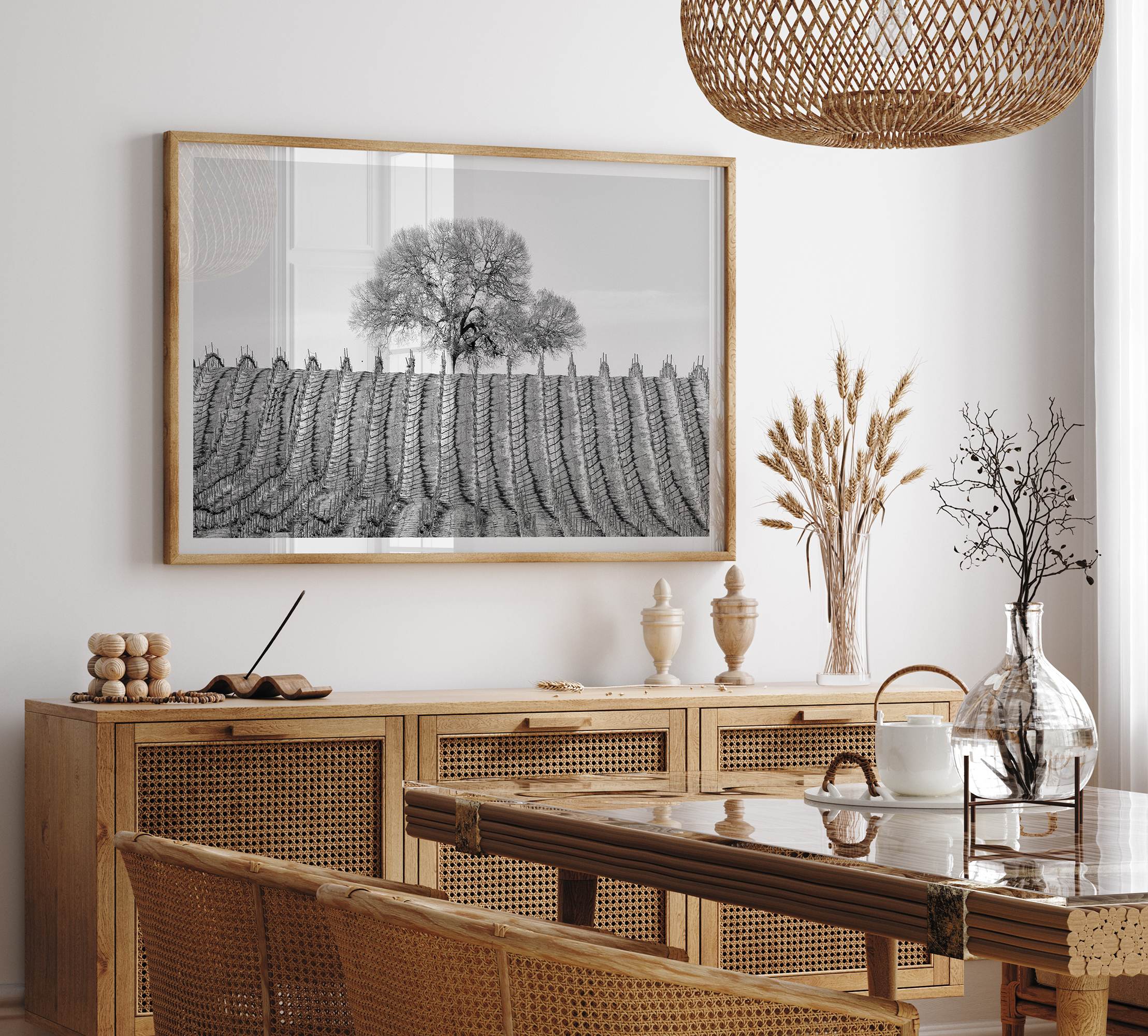 Fine art black and white vineyard photography print Napa Valley minimalist wine country wall decor.