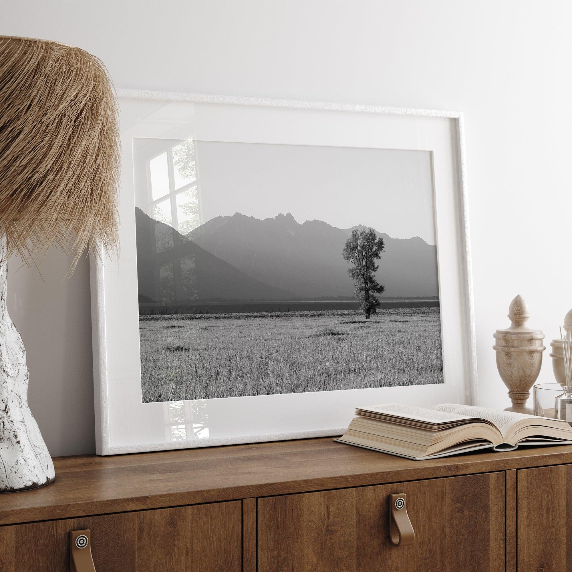 Lone tree in a peaceful field with Grand Teton mountains in the distance, black and white landscape art.