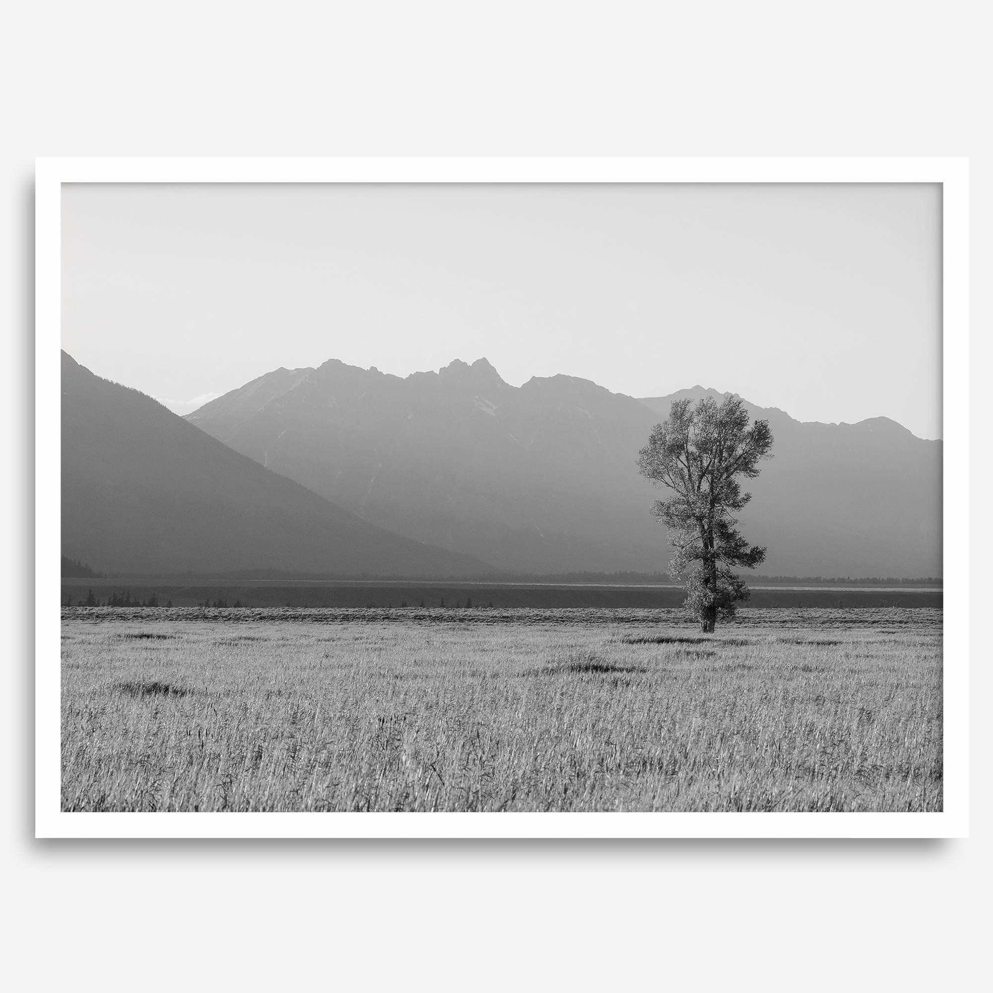 Tranquilidad de Teton