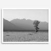 Tranquilidad de Teton