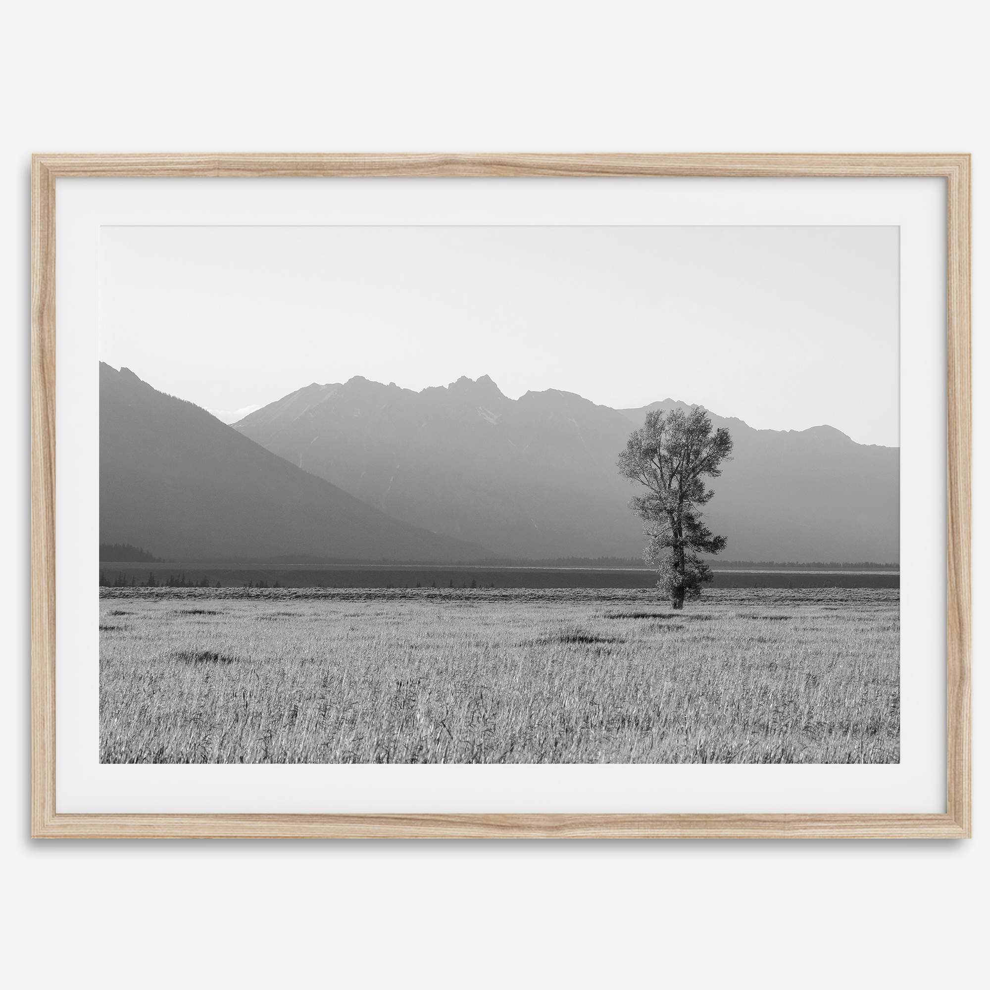 Tranquilidad de Teton