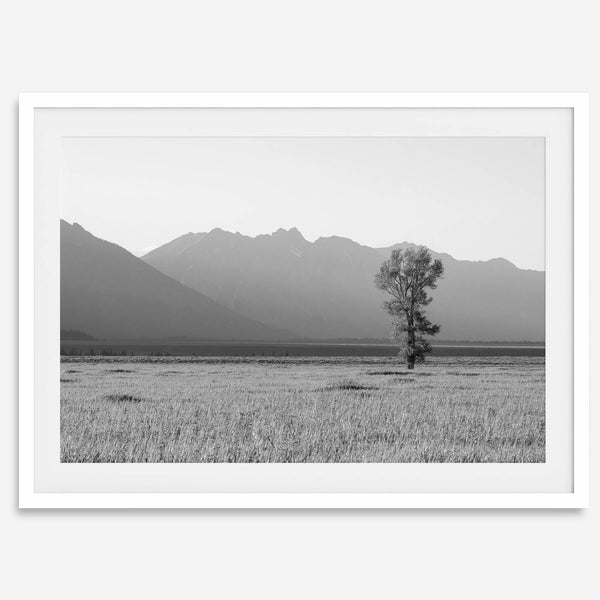 Teton Tranquility