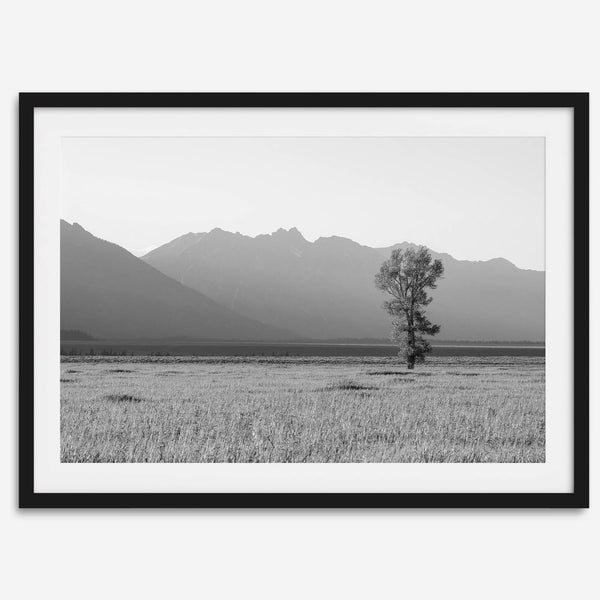 Teton Tranquility