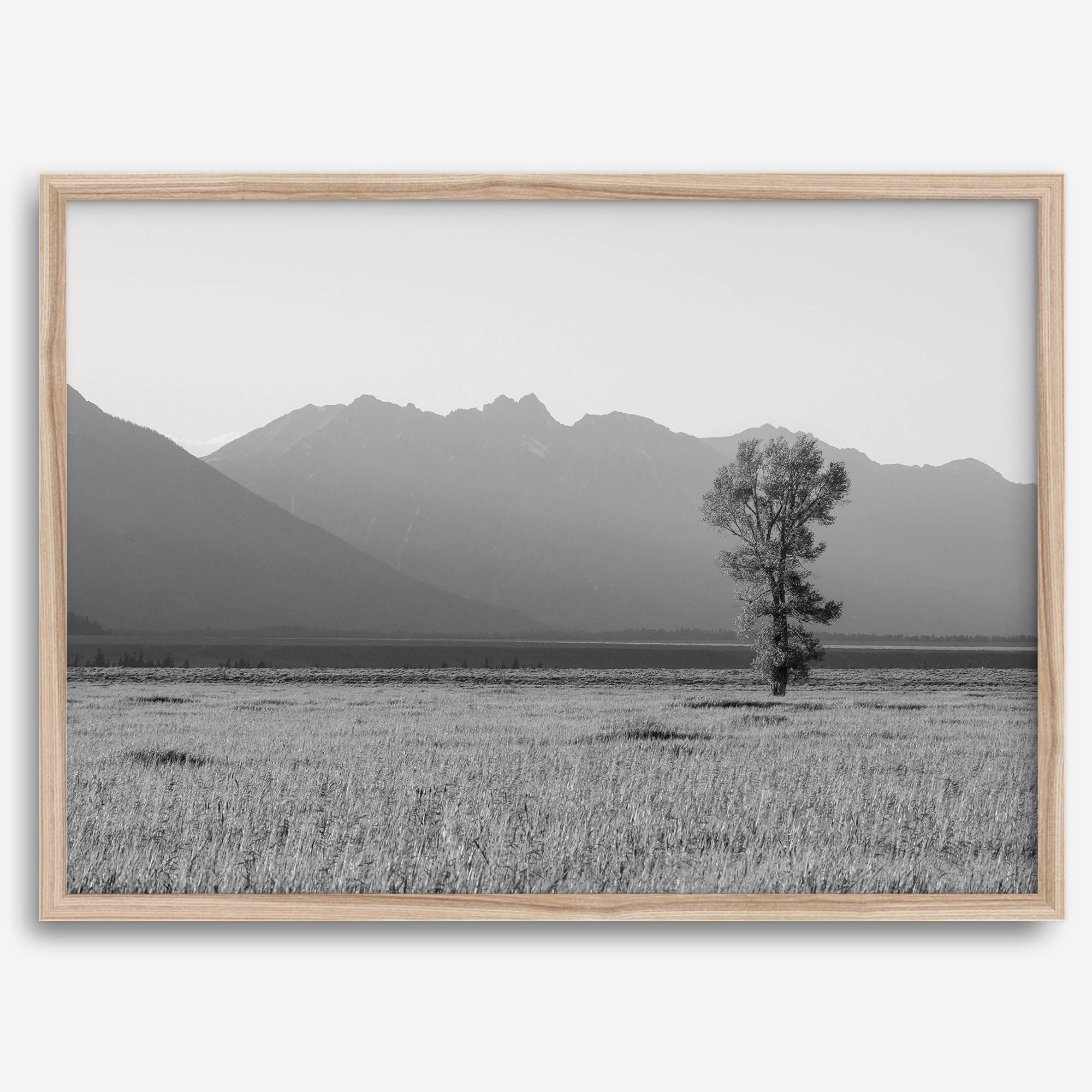 Tranquilidad de Teton