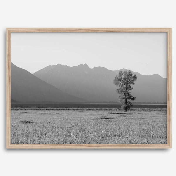 Tranquilidad de Teton
