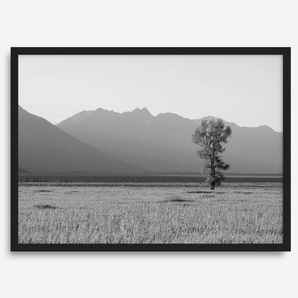 Tranquilidad de Teton