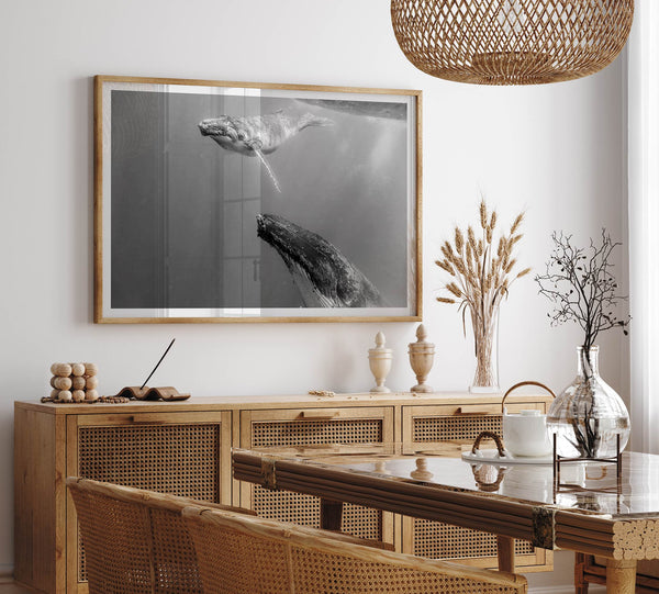 Fine art whale wall art featuring humpback whale mother and calf underwater