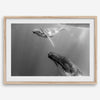 Fine art whale wall art featuring humpback whale mother and calf underwater