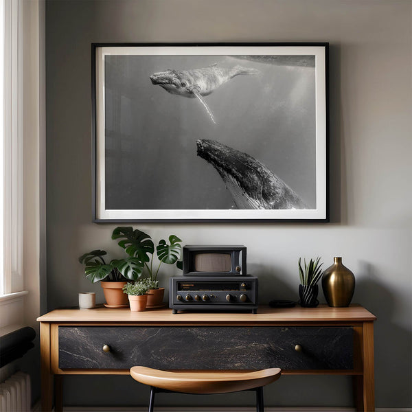 Fine art whale wall art featuring humpback whale mother and calf underwater