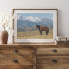 Wild horse standing in a desert landscape with Sierra Nevada mountains in the background, under a clear sky.