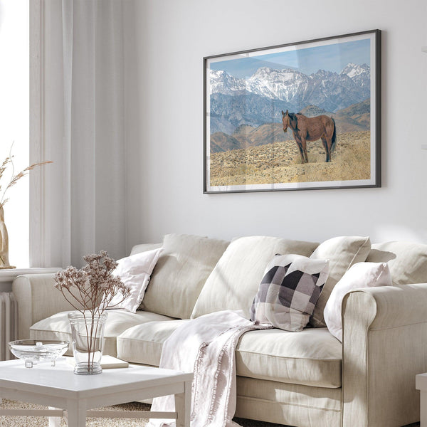 Wild horse standing in a desert landscape with Sierra Nevada mountains in the background, under a clear sky.