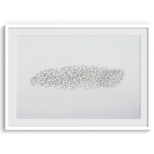 An abstract nature photography landscape photography print featuring a murmuration of starlings in an abstract formation against the sky, capturing minimalist beauty.