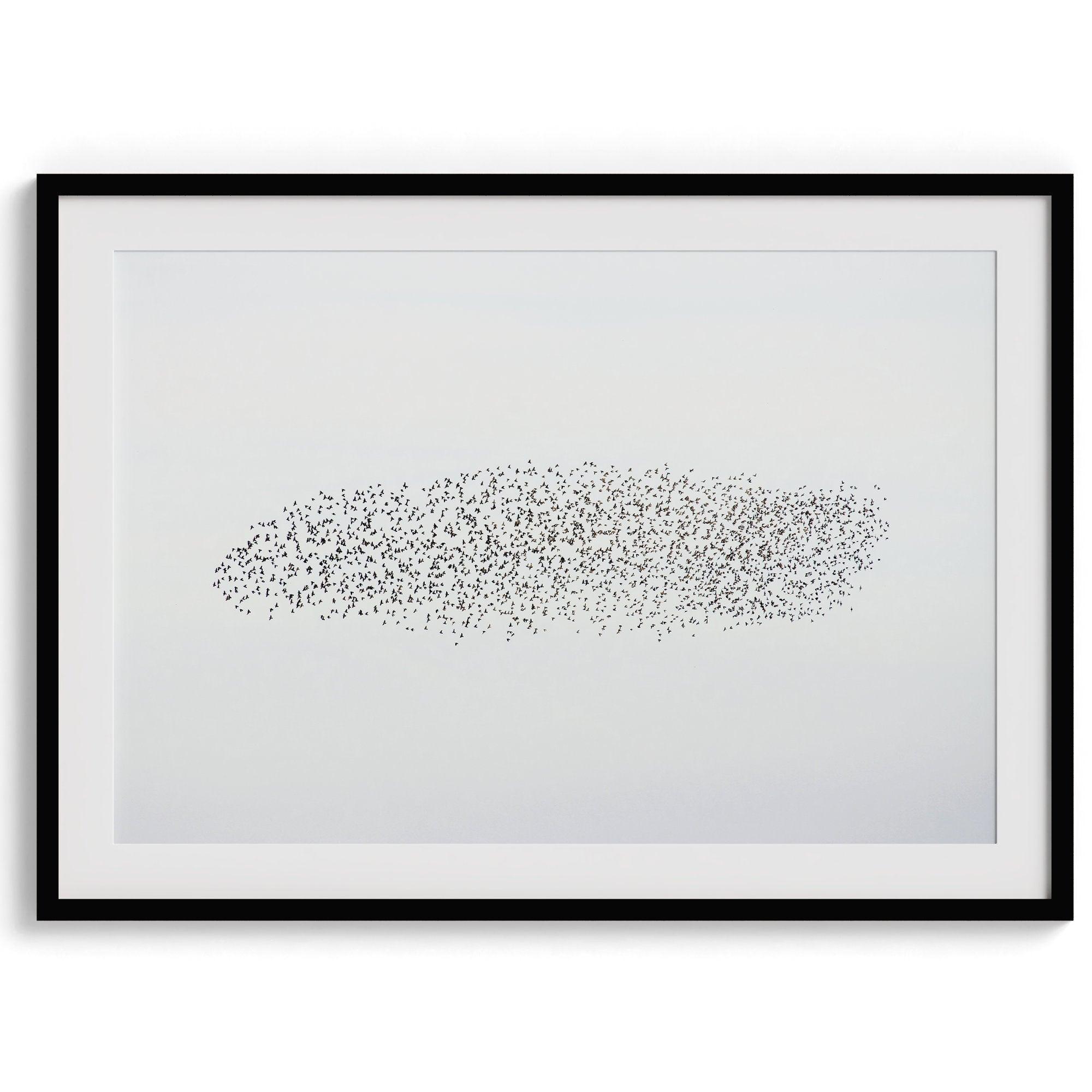 An abstract nature photography landscape photography print featuring a murmuration of starlings in an abstract formation against the sky, capturing minimalist beauty.