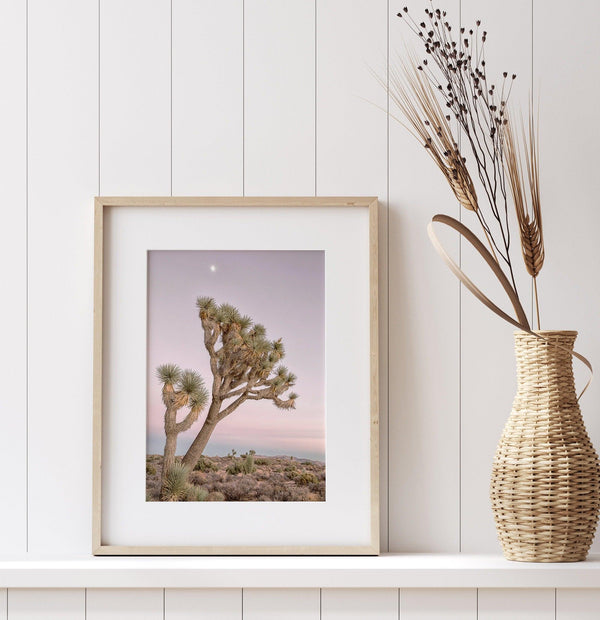 A fine art California desert print in a portrait orientation of a breathtaking Joshua Tree standing alone in a vibrant pink and purple sunset with the moon picking on top of it.