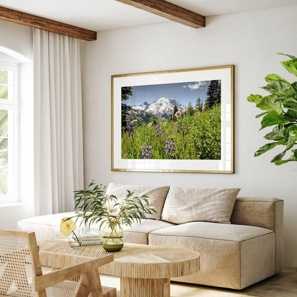 A framed or unframed fine art landscape photography print of Mount Rainier. This Washington wall art showcases a vast bed of flowers in the foreground with the backdrop of the snow-covered Mount Rainier. Perfect as a Mt Rainier National Park poster