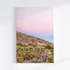 A canvas large wall art set of Joshua Tree National Park. This canvas print showcases a stunning lone Joshua tree standing in the desert with desert plantation all around and breathtaking pink sunset in the backdrop.