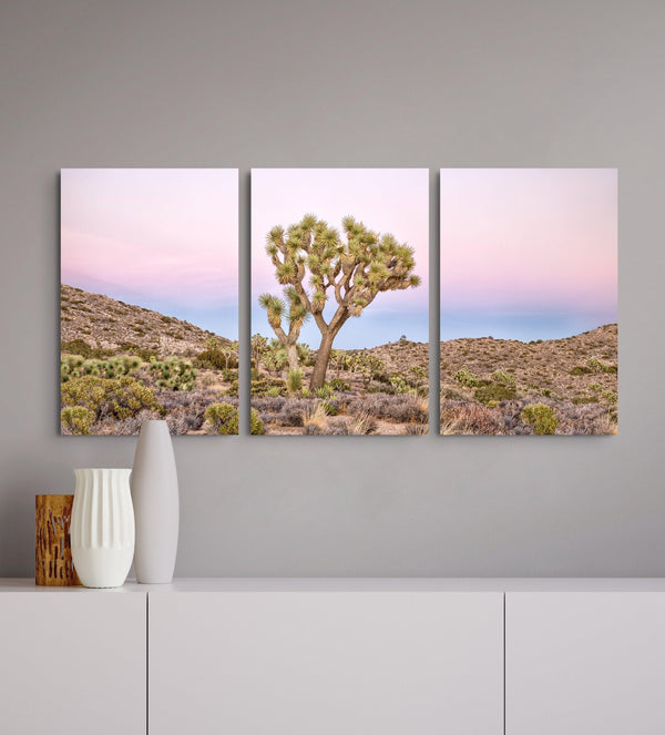 A canvas large wall art set of Joshua Tree National Park. This canvas print showcases a stunning lone Joshua tree standing in the desert with desert plantation all around and breathtaking pink sunset in the backdrop.