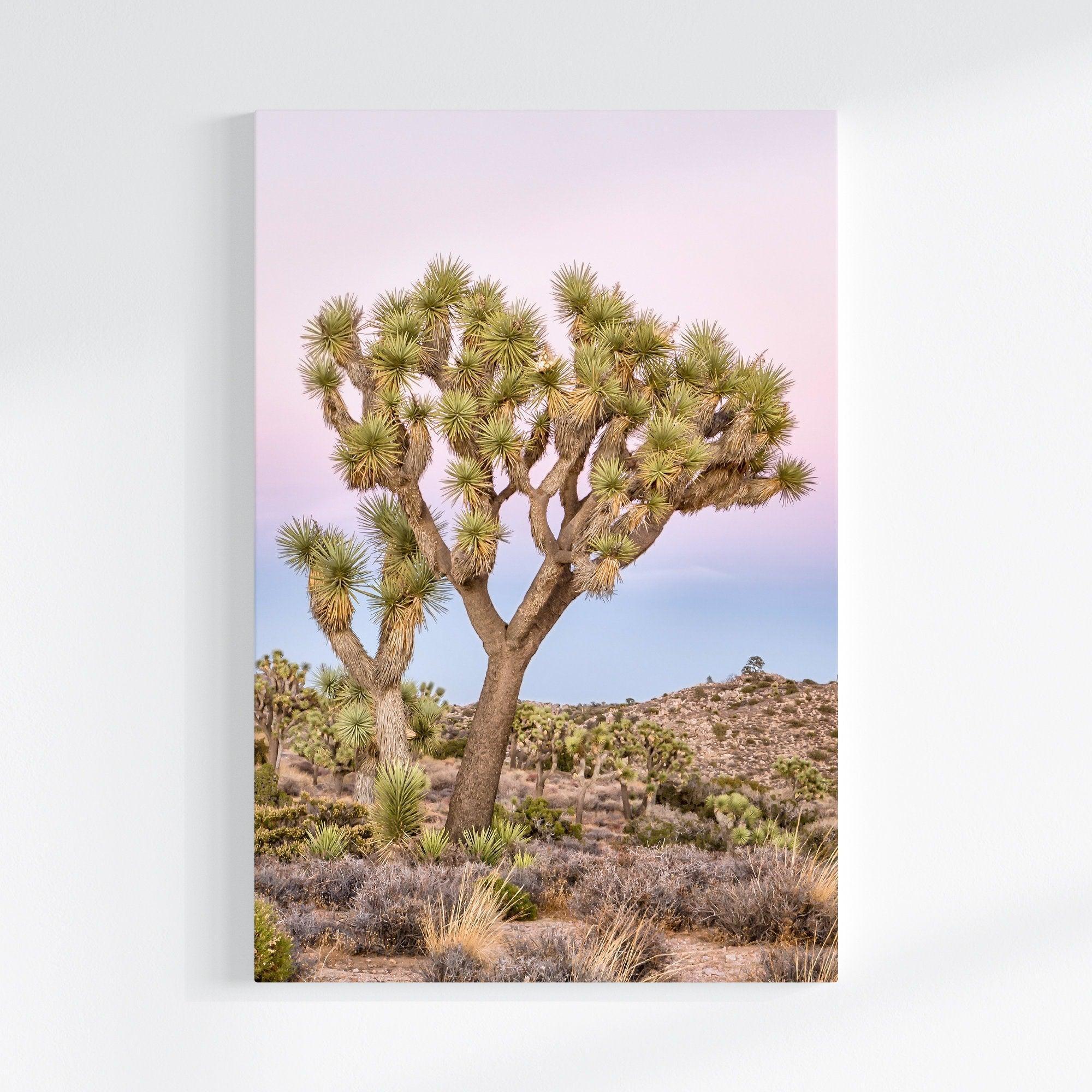 A canvas large wall art set of Joshua Tree National Park. This canvas print showcases a stunning lone Joshua tree standing in the desert with desert plantation all around and breathtaking pink sunset in the backdrop.