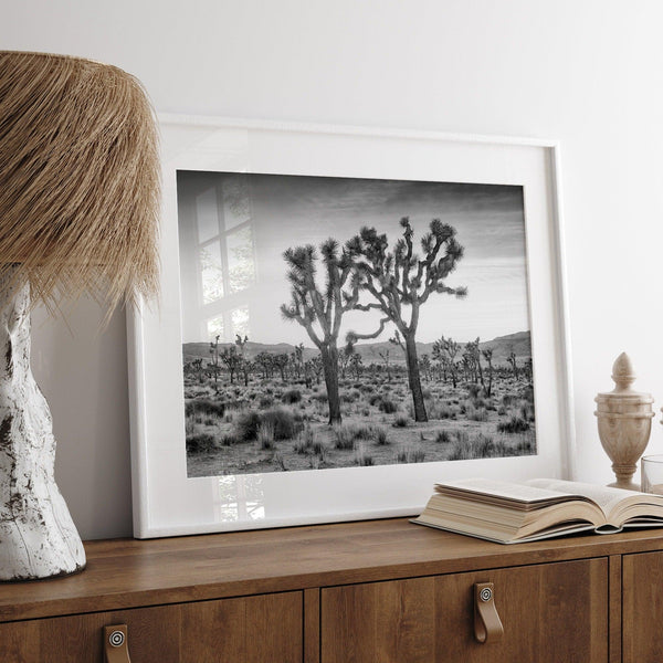 A fine art black and white framed or unframed photography print showcasing two Joshua trees seemingly holding hands in the sunset. This desert wall art will be a great addition to your home or office decor.
